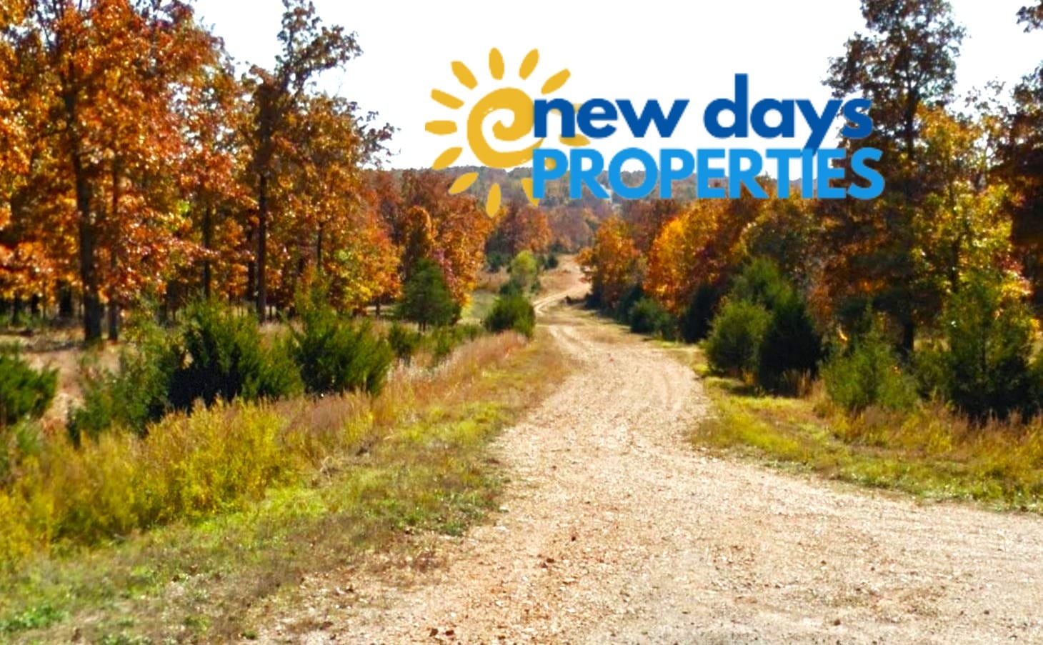 1 Treed land in Arkansas for Sale