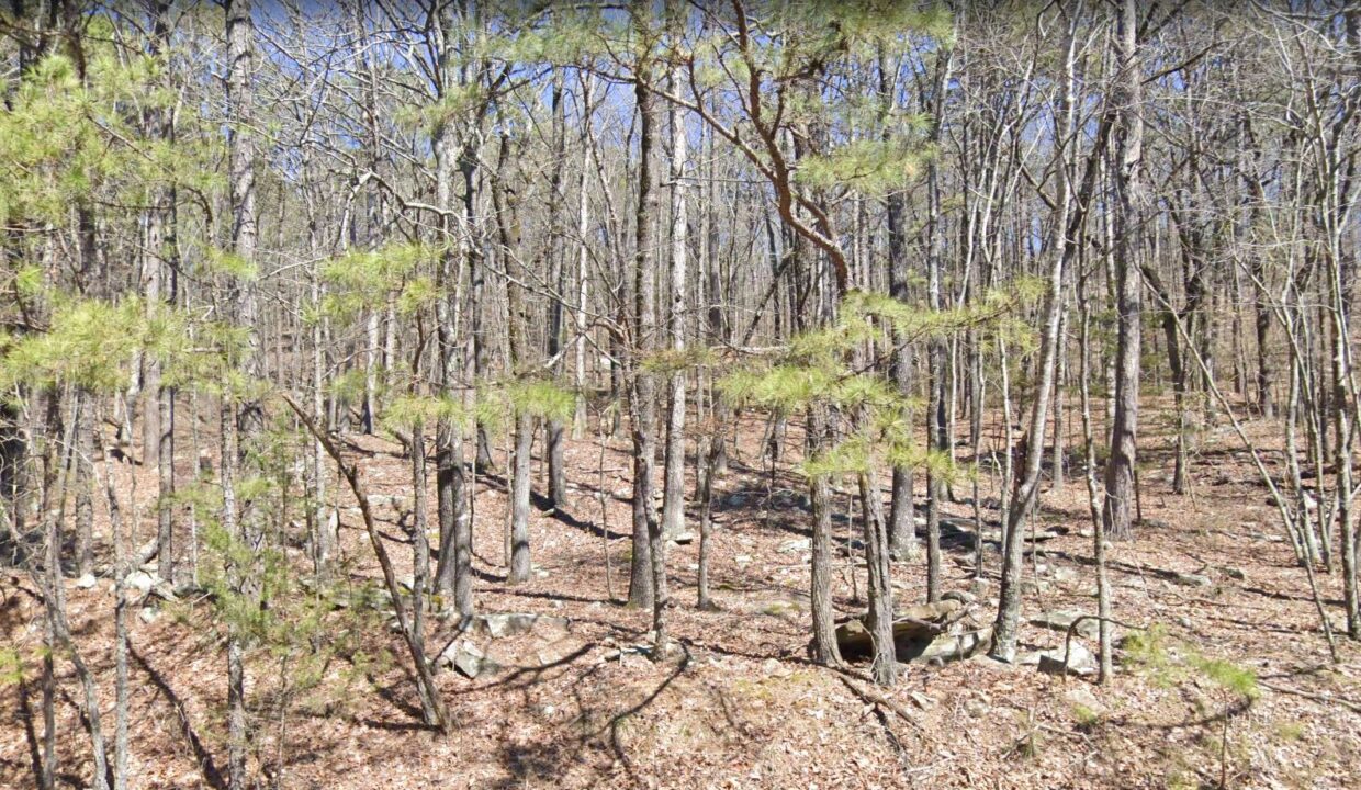 15-2-1240×720 land for sale in the ozark mountains