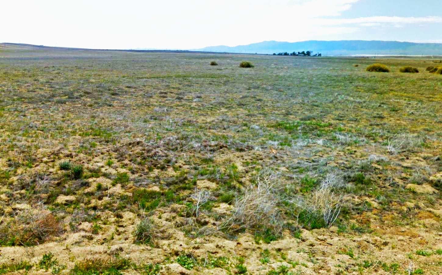 farm land for sale california farm land for sale california