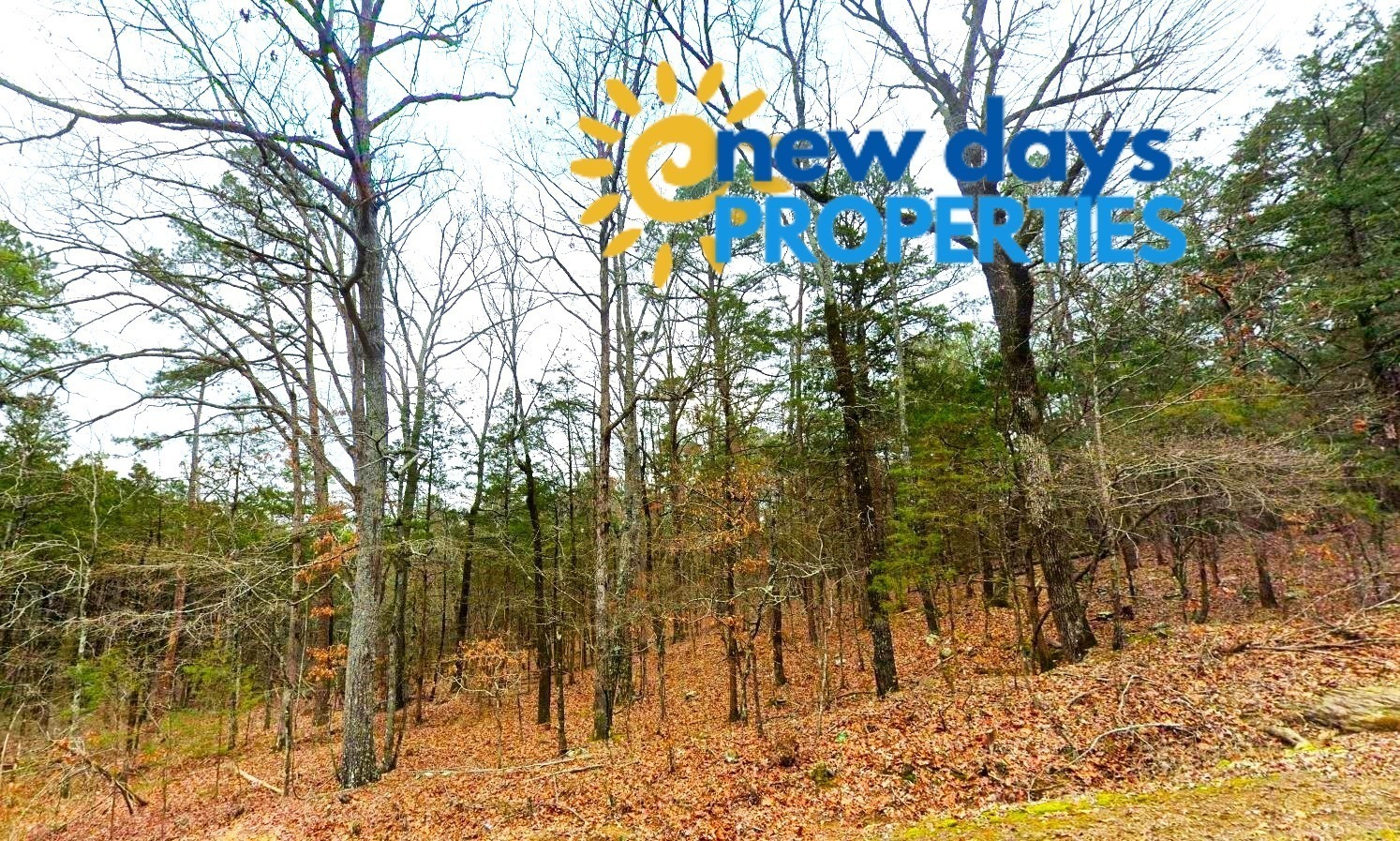 Land for Sale in Mountain View Arkansas