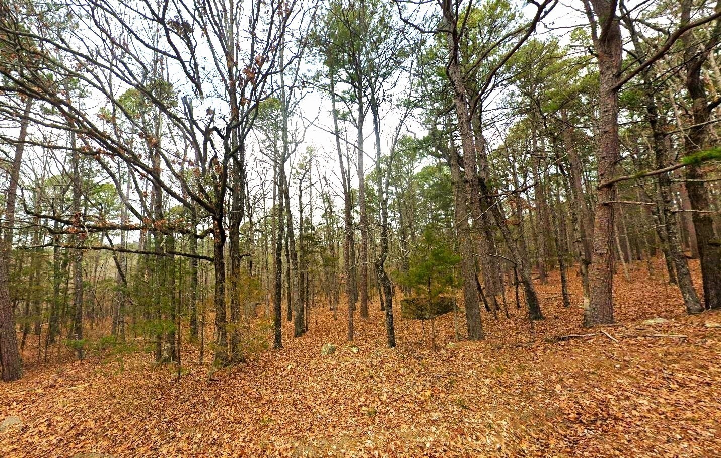 10 land for sale in arkansas