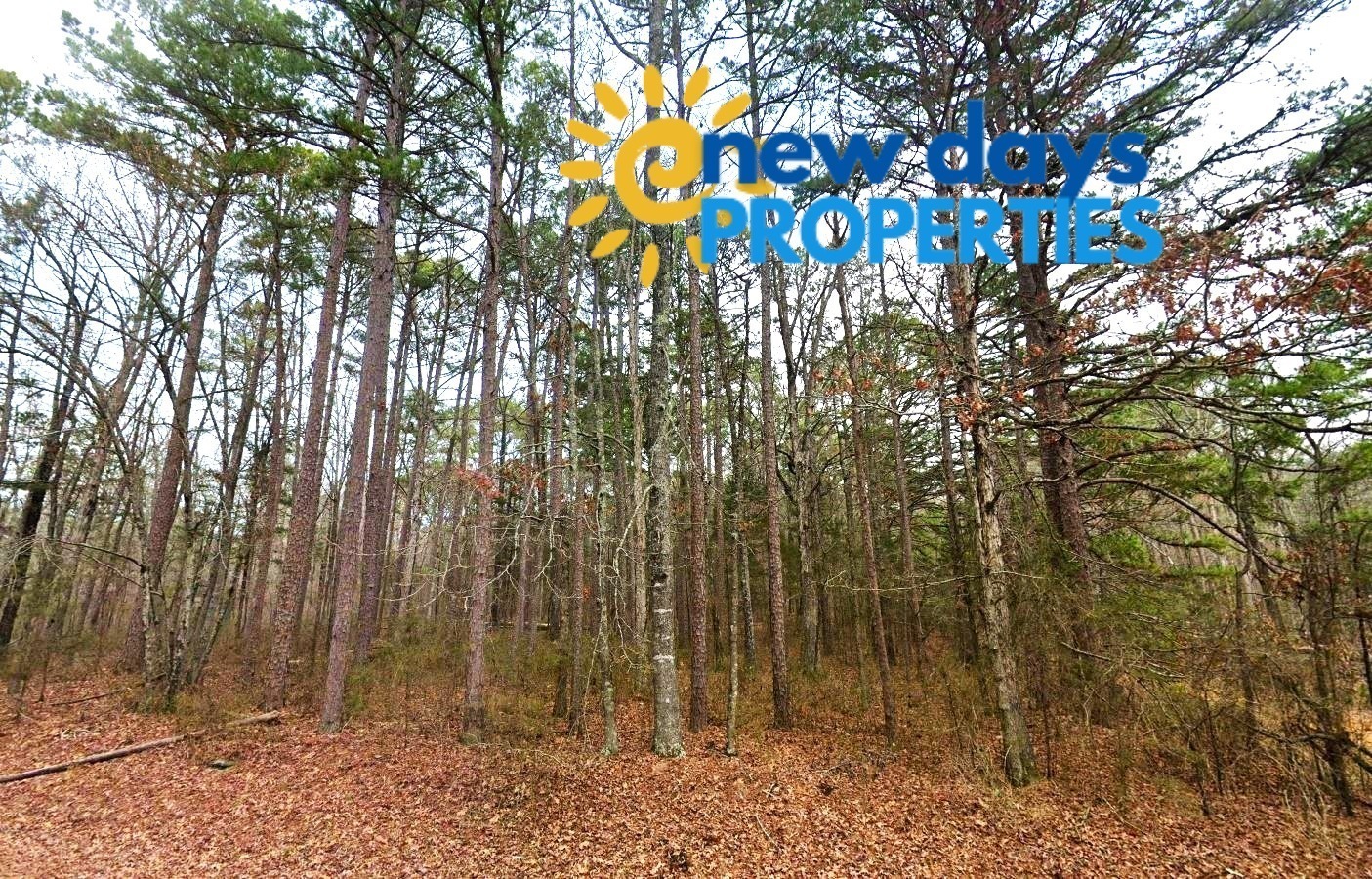 Land for Sale in Mountain View Arkansas