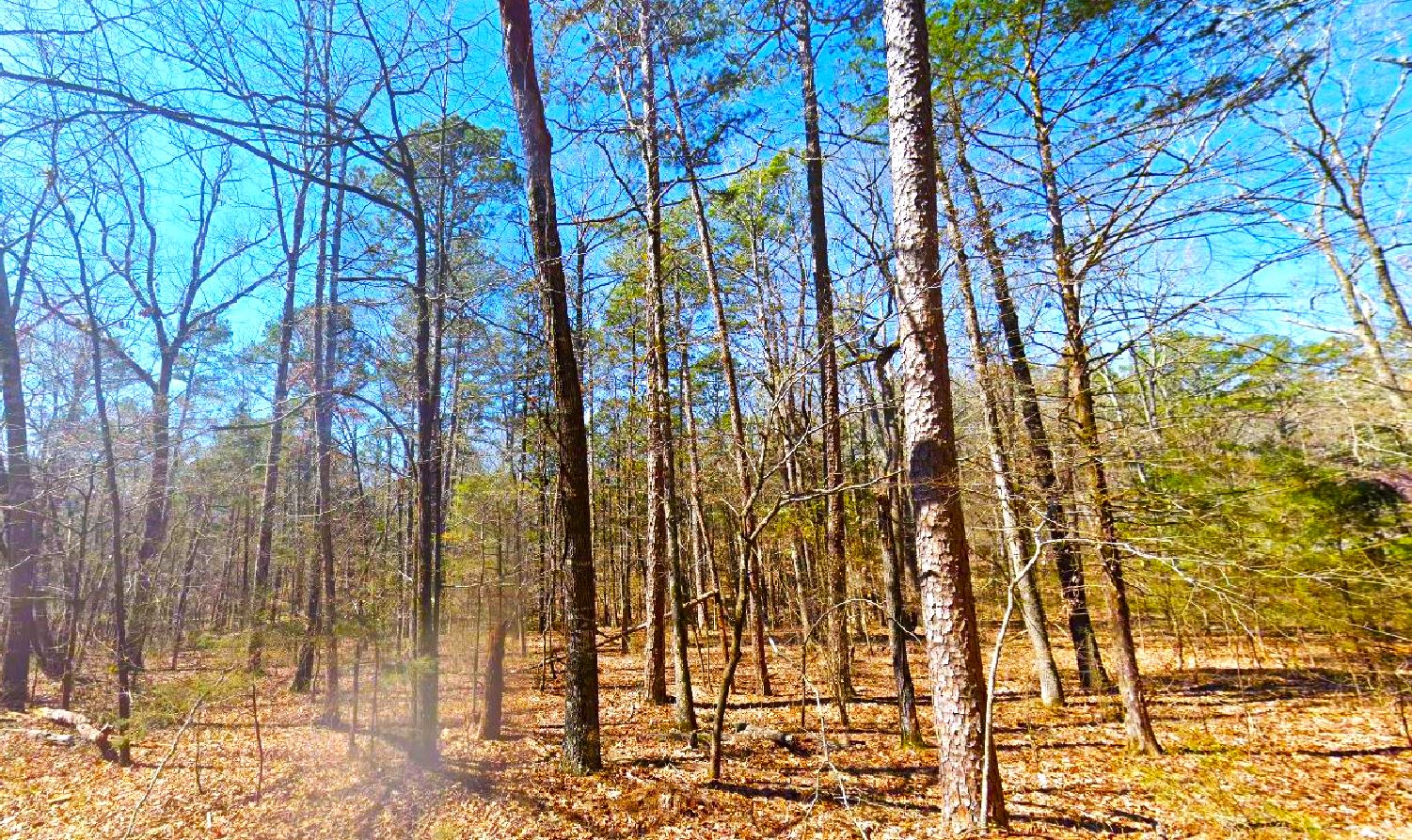 arkansas land for sale