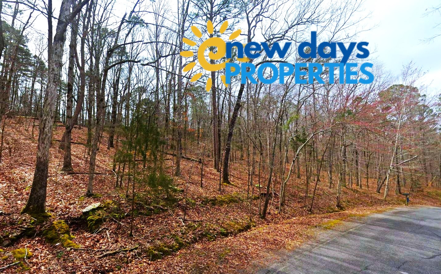 2 Arkansas land for sale