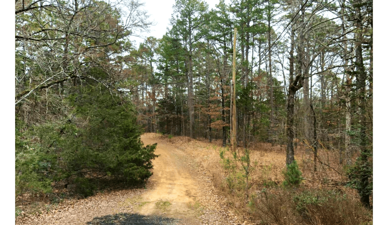 2 Arkansas Land for Sale