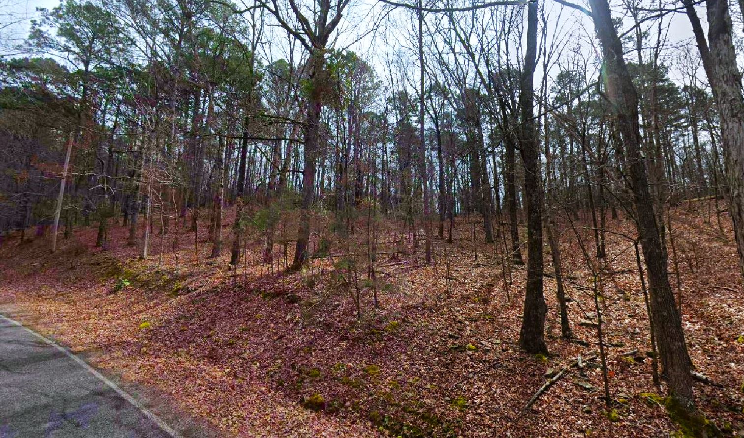 3 land in arkansas for sale