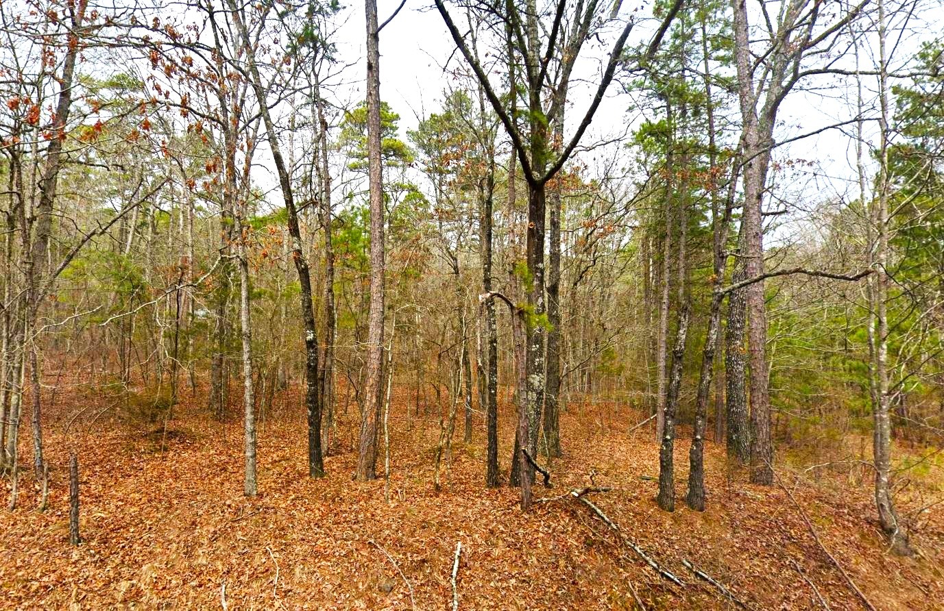 5 arkansas land for sale