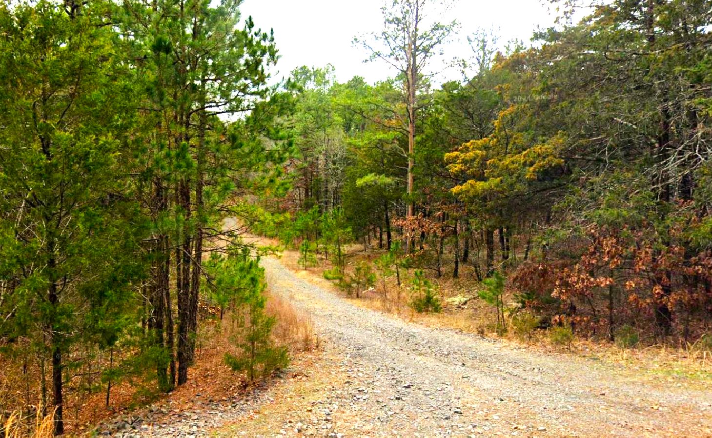 land for sale in arkansas