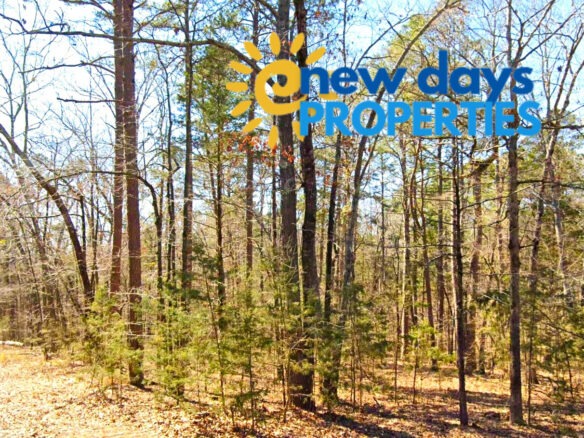 Land for Sale Mountain View Arkansas