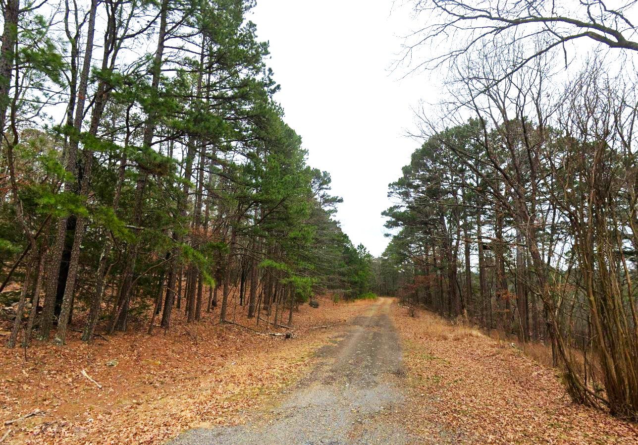 land for sale in mountain view arkansas