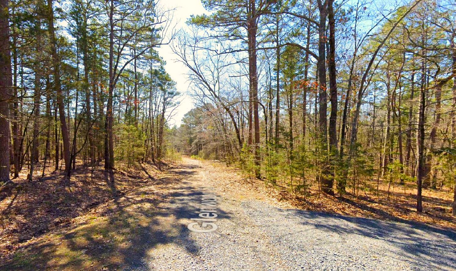 Capture Land for Sale Mountain View Arkansas