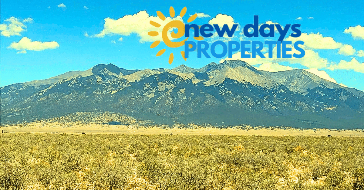 Copy of Untitled Design