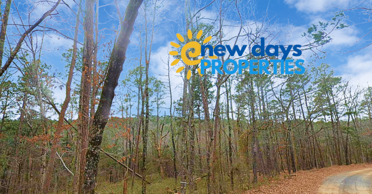 Copy of 317-38-003 (2)