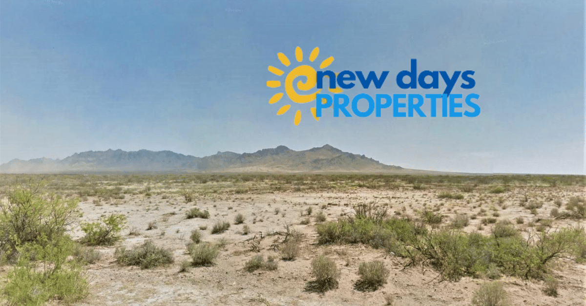 Copy of Copy of 317-38-003